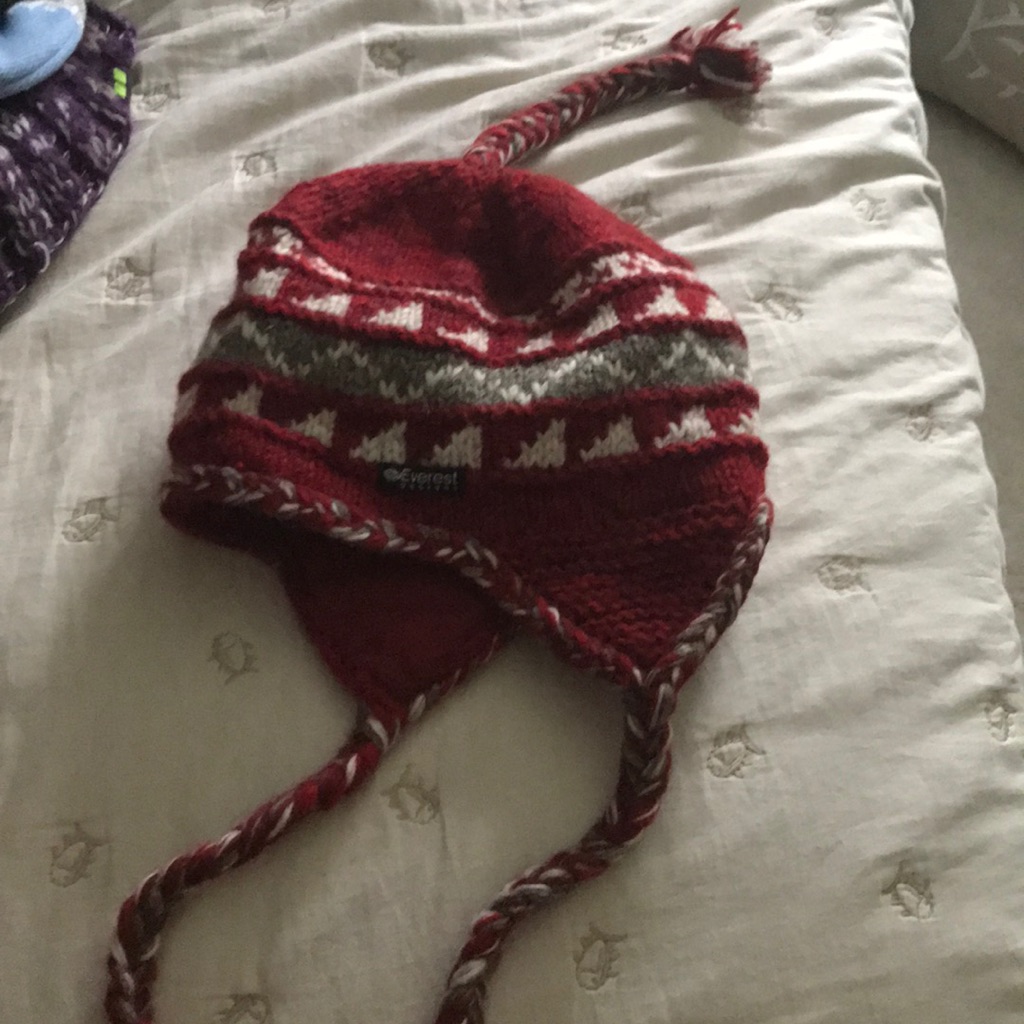 Everest Wool Beanie